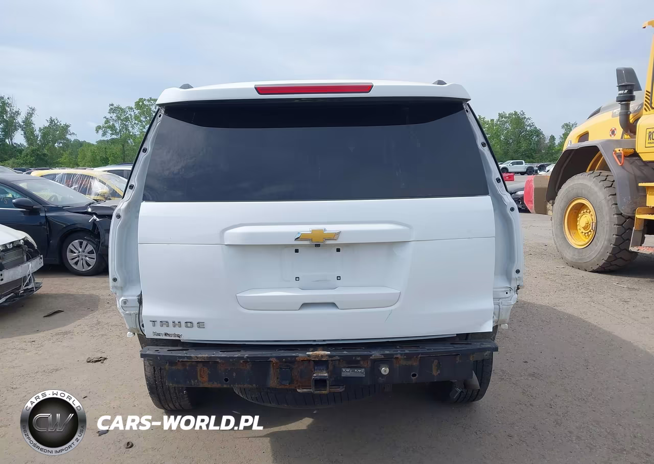 2019 Chevrolet Tahoe Lt VIN:1GNSKBKC0KR120165 - 17