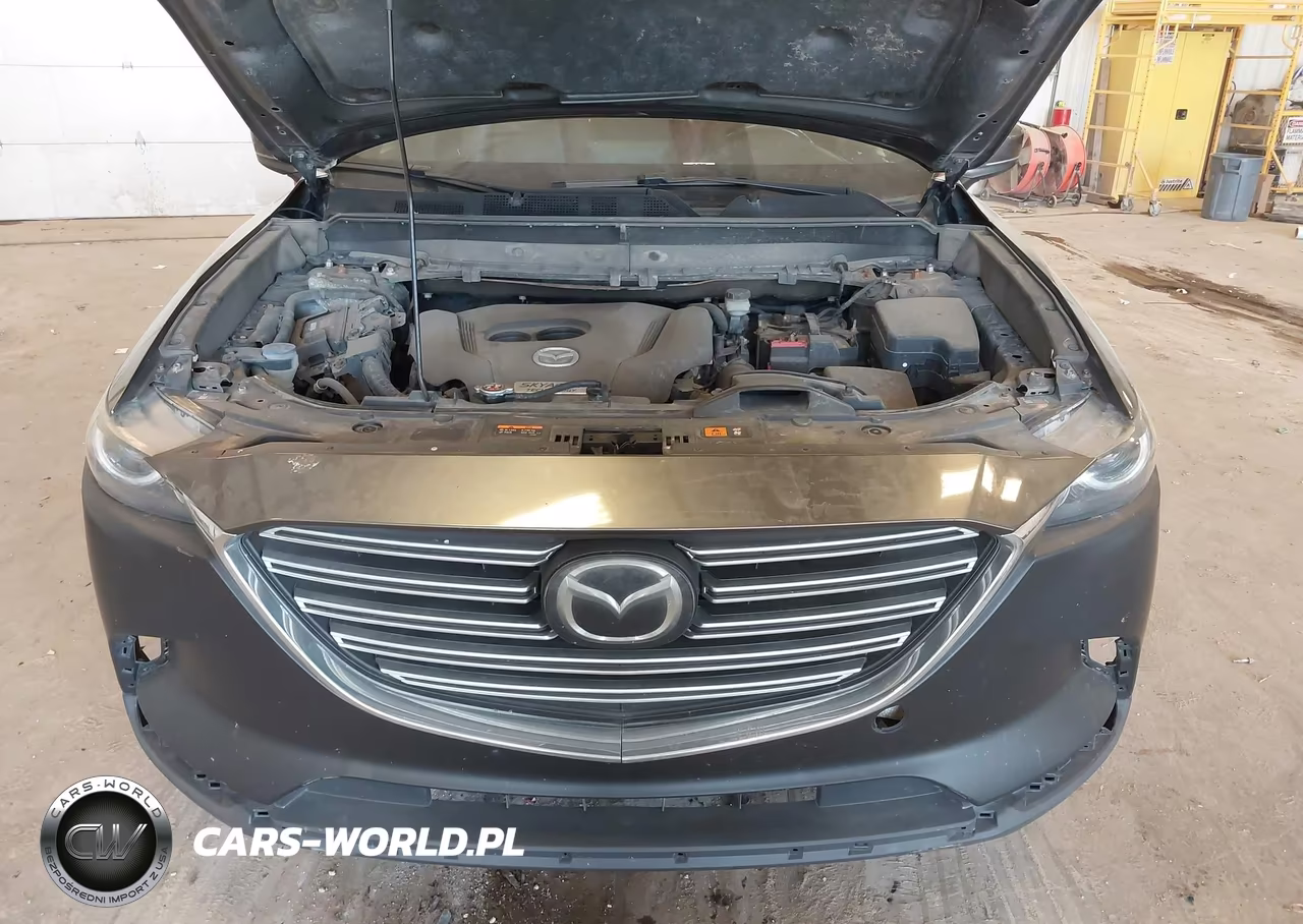 2016 Mazda Cx-9 Signature VIN:JM3TCBEY5G0118173 - 10