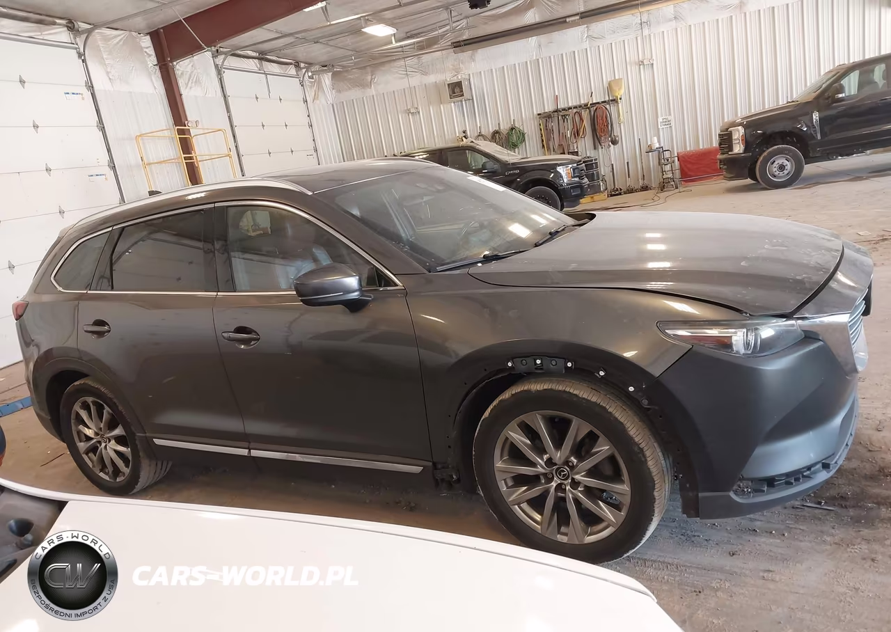 2016 Mazda Cx-9 Signature VIN:JM3TCBEY5G0118173 - 13