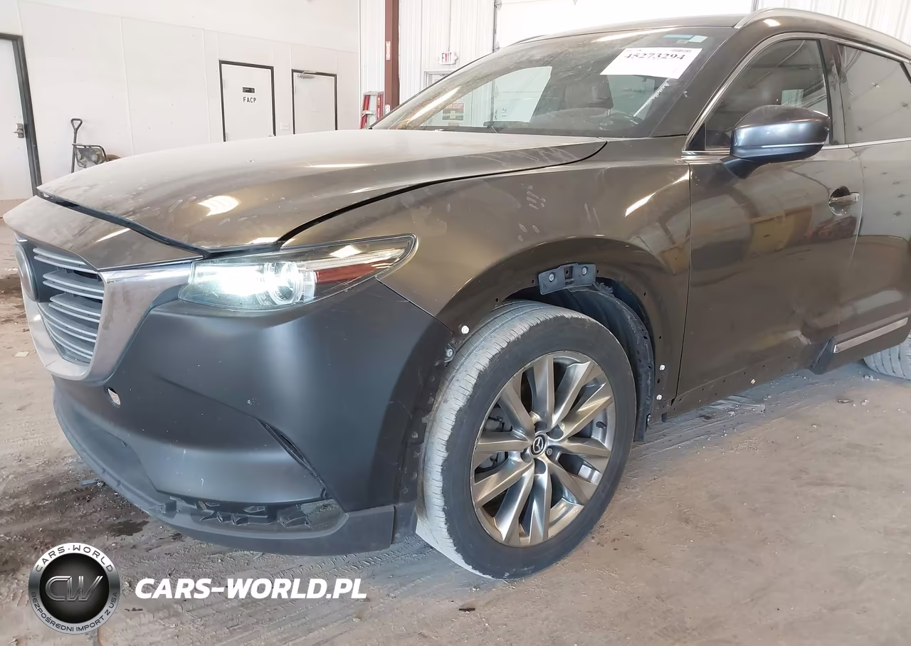 2016 Mazda Cx-9 Signature VIN:JM3TCBEY5G0118173 - 6