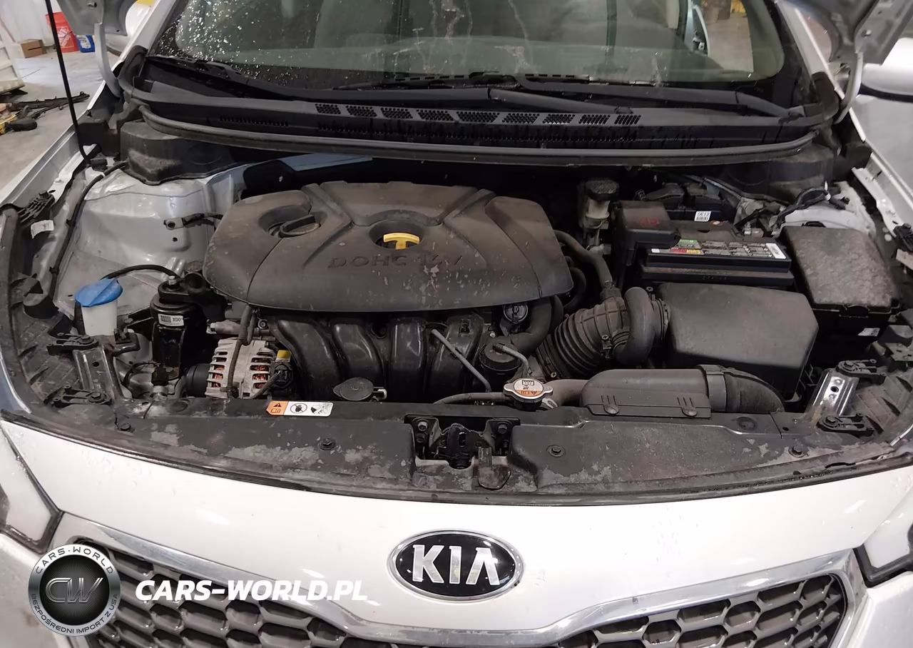 2015 Kia Forte Lx VIN:KNAFK4A62F5399453 - 10