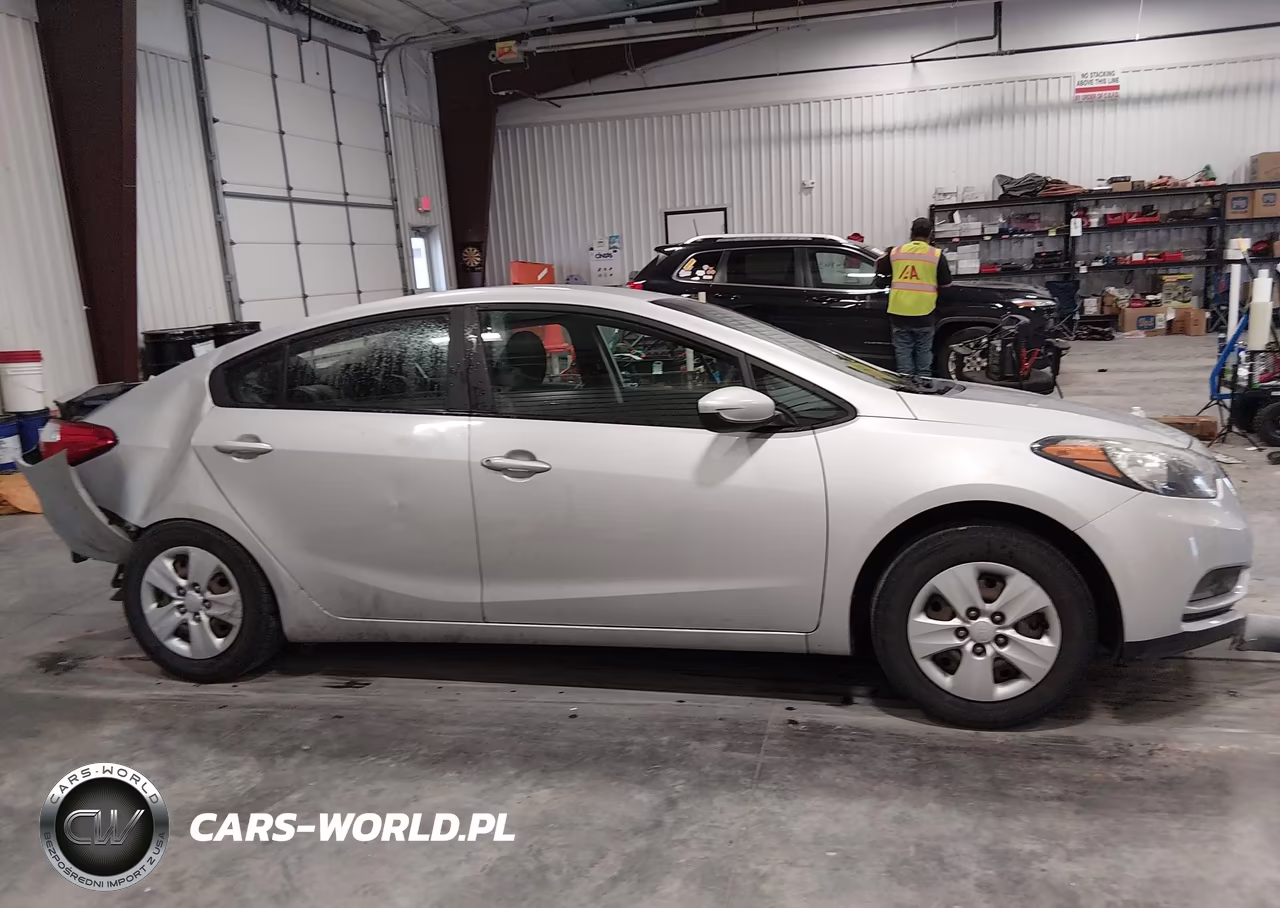 2015 Kia Forte Lx VIN:KNAFK4A62F5399453 - 13