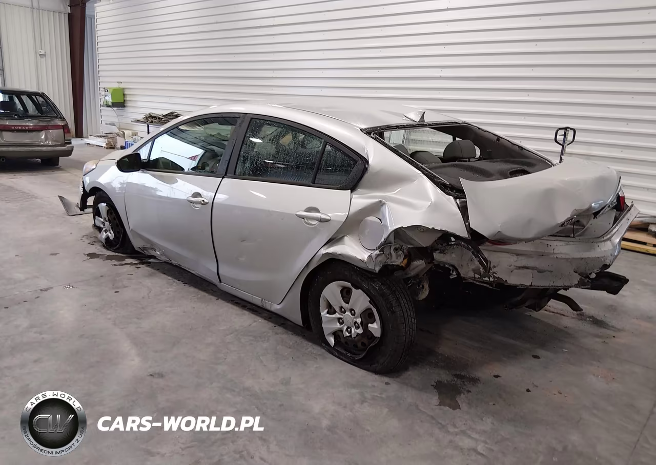 2015 Kia Forte Lx VIN:KNAFK4A62F5399453 - 3