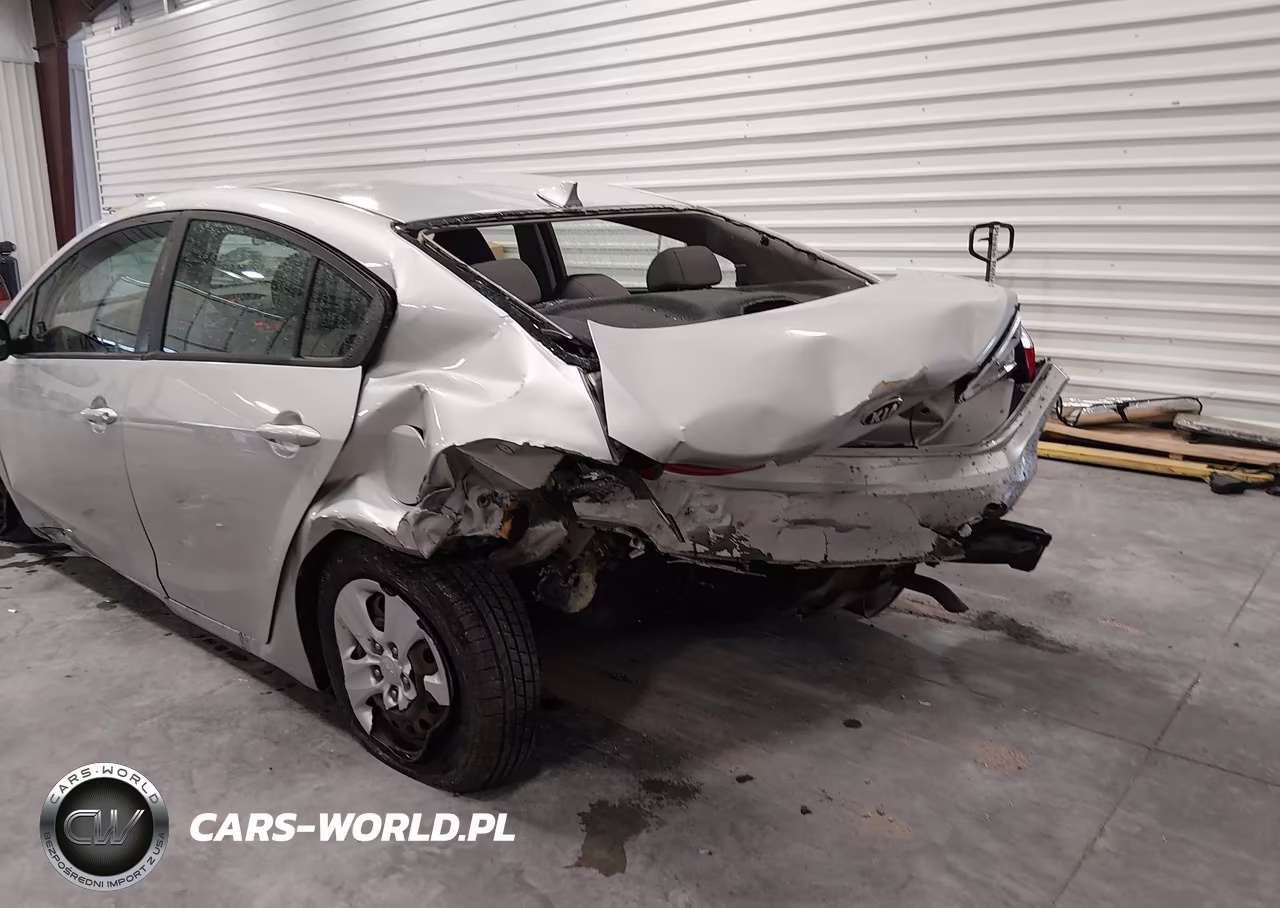 2015 Kia Forte Lx VIN:KNAFK4A62F5399453 - 6