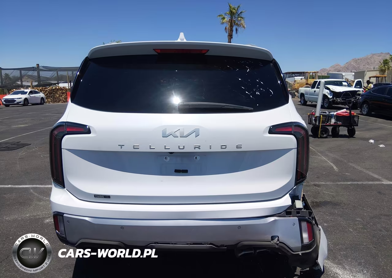 2024 Kia Telluride Ex VIN:5XYP34GC5RG462333 - 17