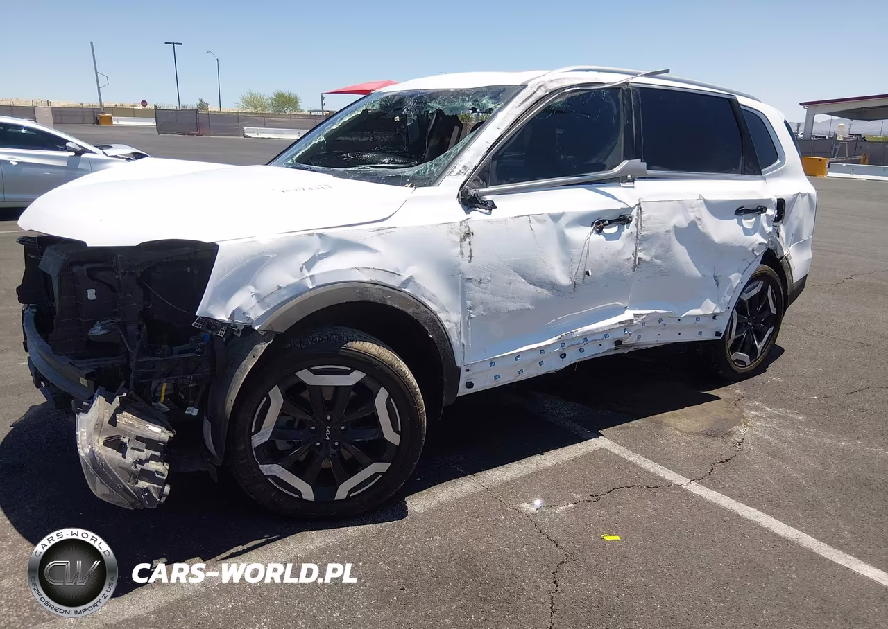 2024 Kia Telluride Ex VIN:5XYP34GC5RG462333 - 2
