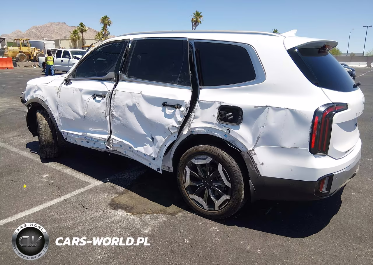 2024 Kia Telluride Ex VIN:5XYP34GC5RG462333 - 3