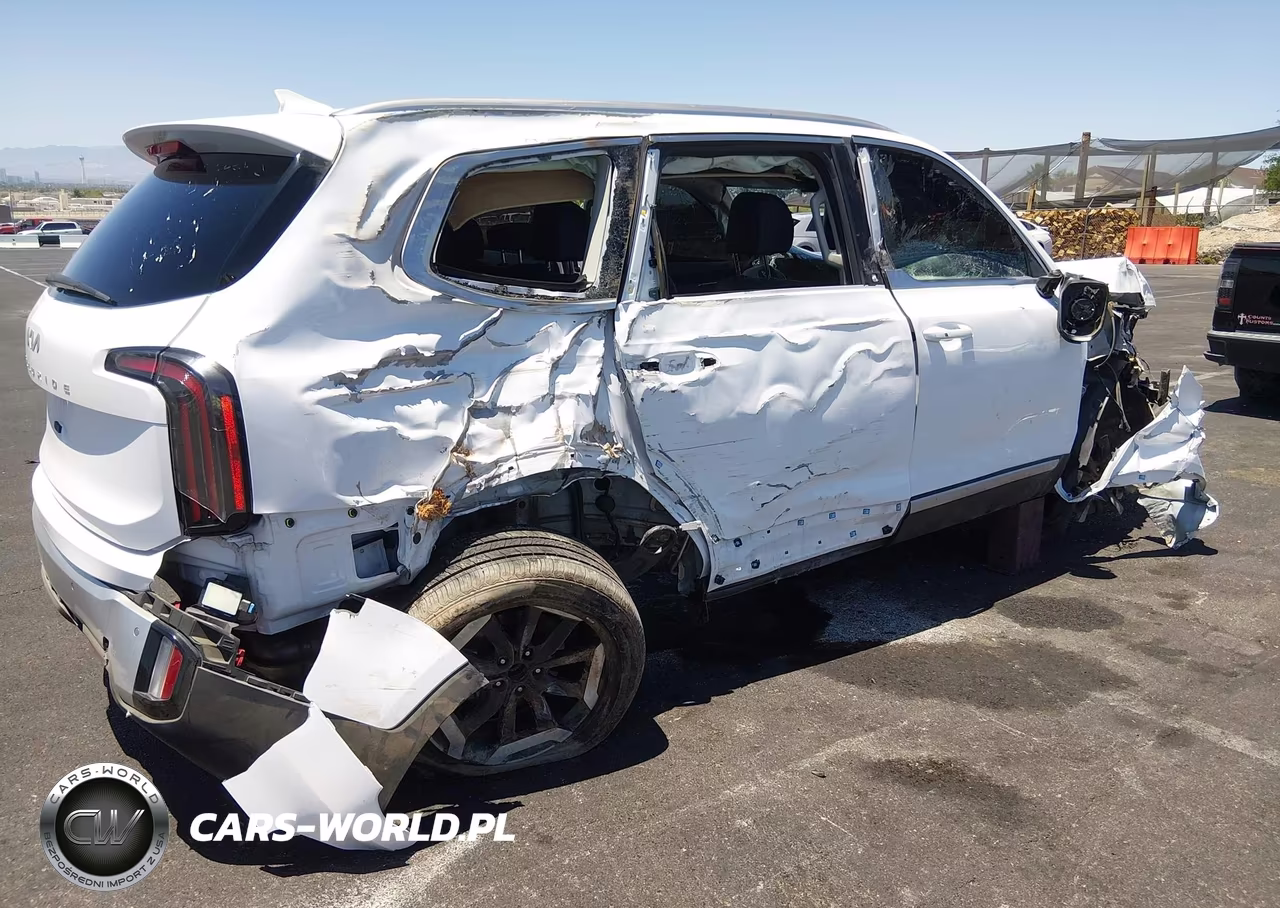 2024 Kia Telluride Ex VIN:5XYP34GC5RG462333 - 4