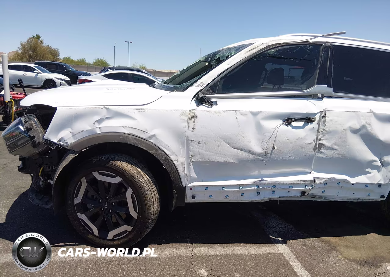 2024 Kia Telluride Ex VIN:5XYP34GC5RG462333 - 6