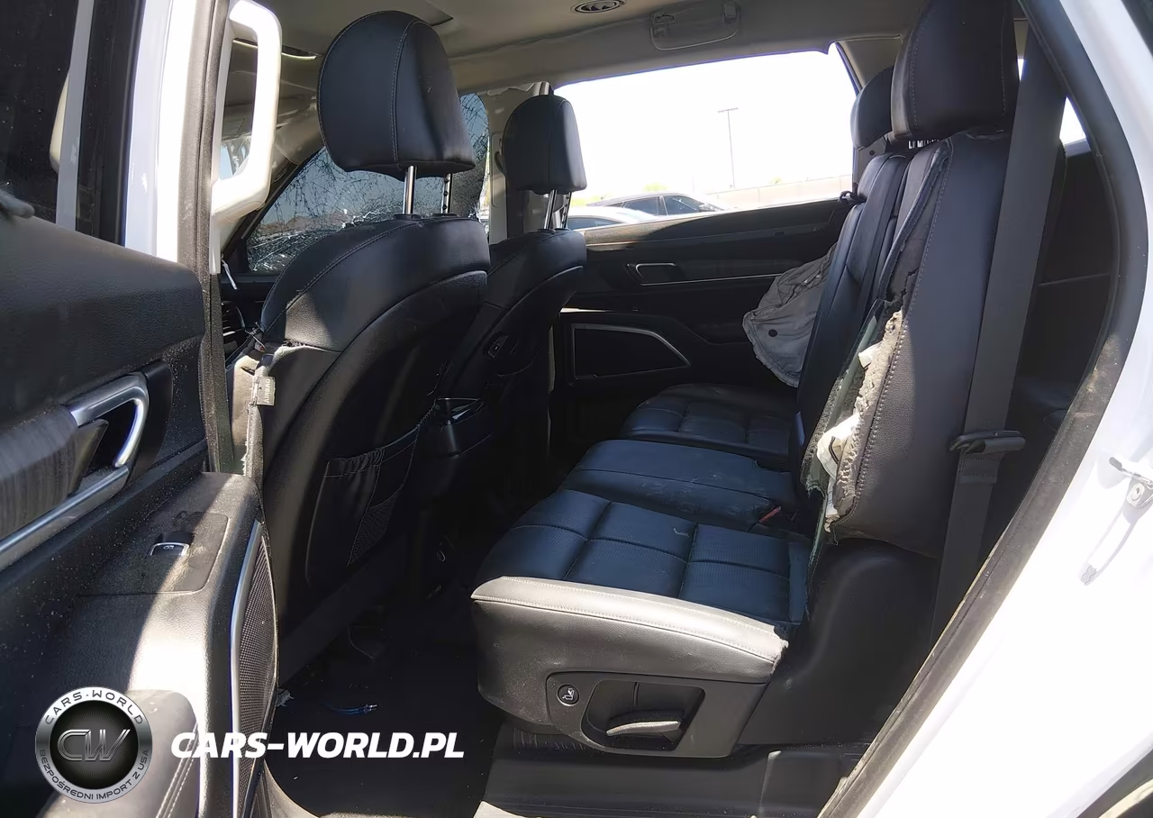 2024 Kia Telluride Ex VIN:5XYP34GC5RG462333 - 8