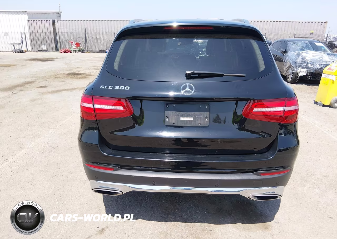 2016 Mercedes-Benz Glc 300 VIN:WDC0G4JBXGF007137 - 19