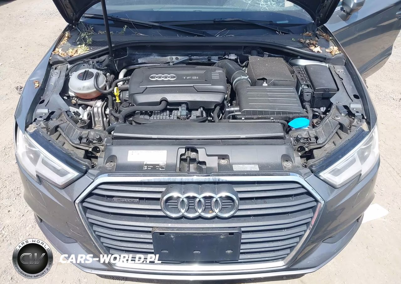 2017 Audi A3 2.0T Premium VIN:WAU78LFF6H1020664 - 10