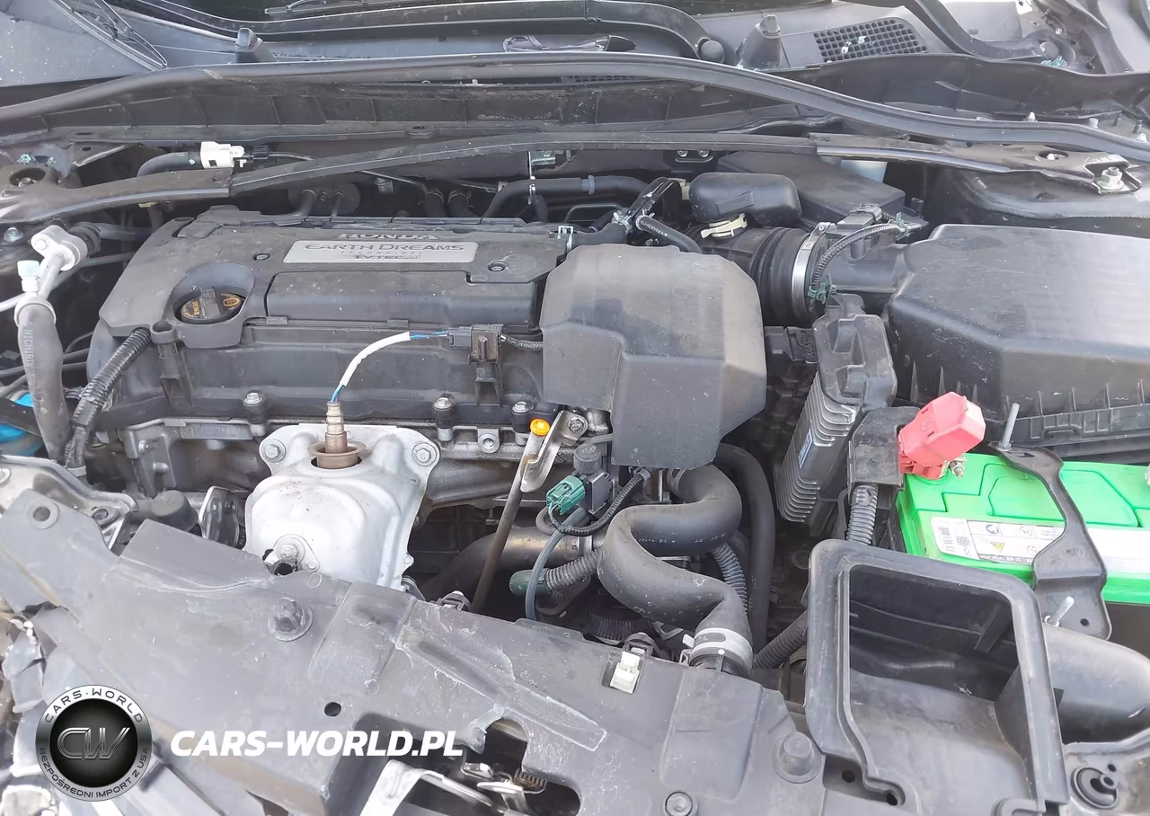 2013 Honda Accord Ex-L VIN:1HGCR2F87DA038791 - 10