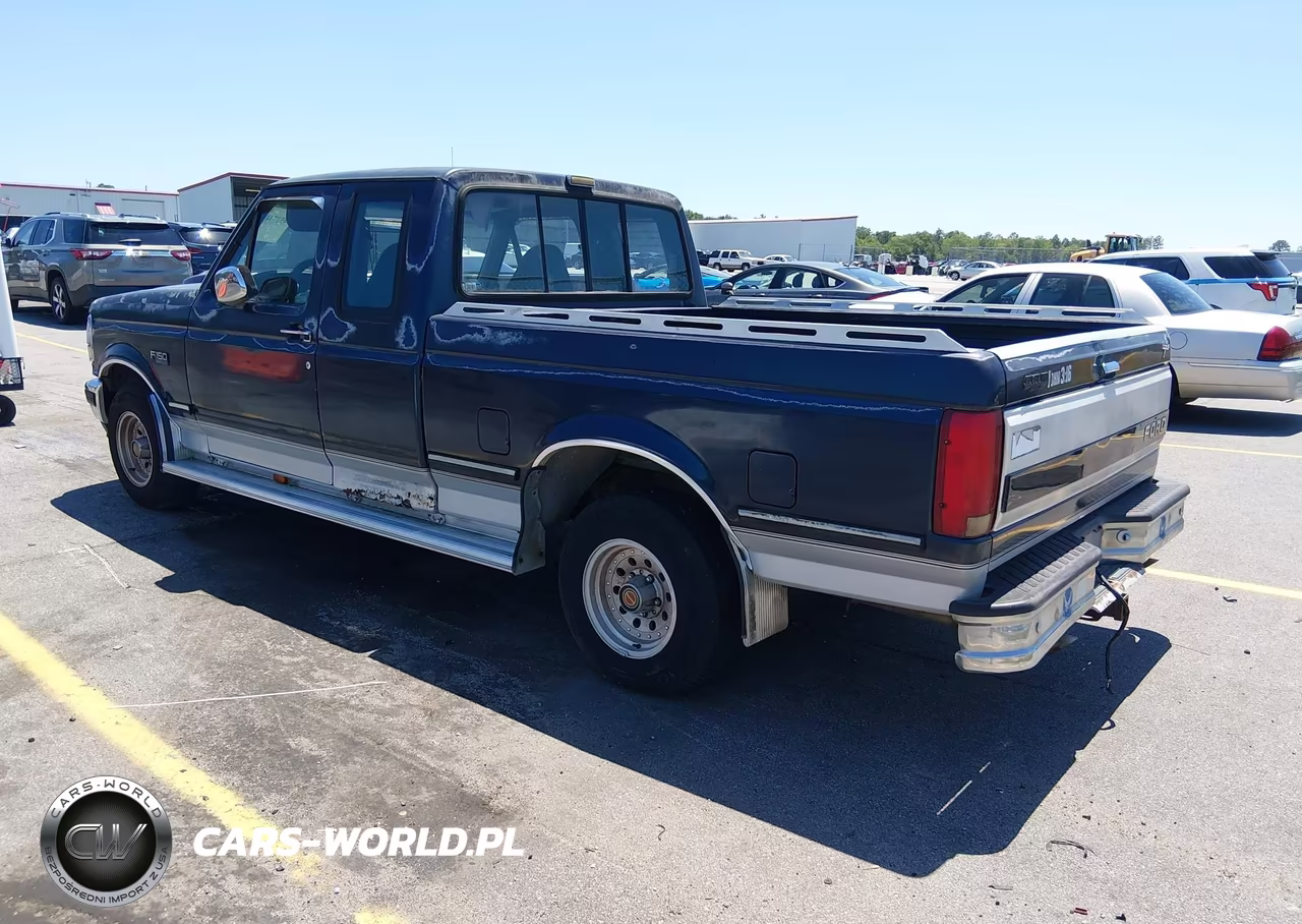 1993 Ford F150 VIN:1FTEX15NXPKA47899 - 3