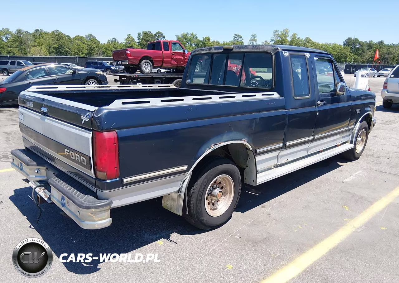 1993 Ford F150 VIN:1FTEX15NXPKA47899 - 4