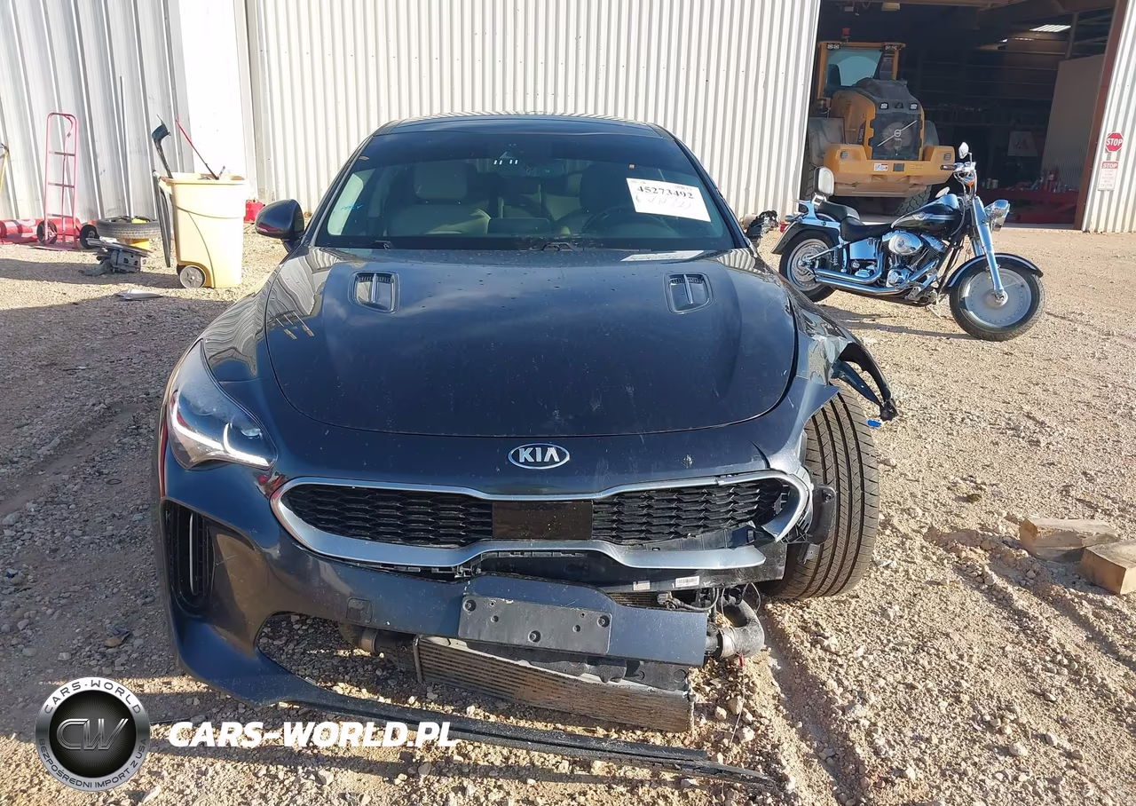 2019 Kia Stinger Premium VIN:KNAE25LA9K6046036 - 12