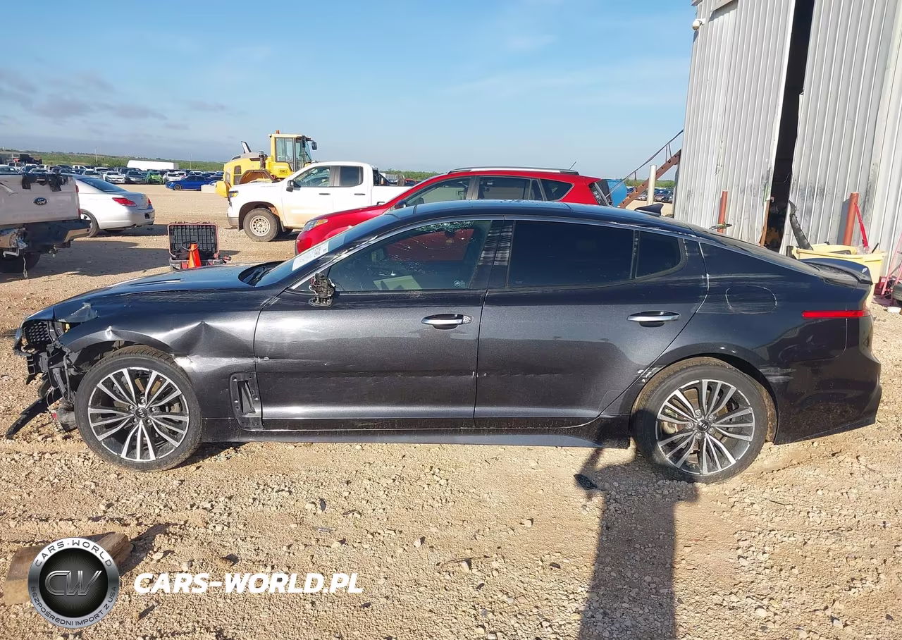 2019 Kia Stinger Premium VIN:KNAE25LA9K6046036 - 14