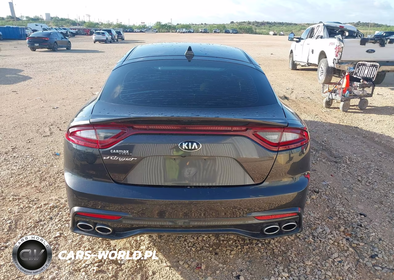 2019 Kia Stinger Premium VIN:KNAE25LA9K6046036 - 16