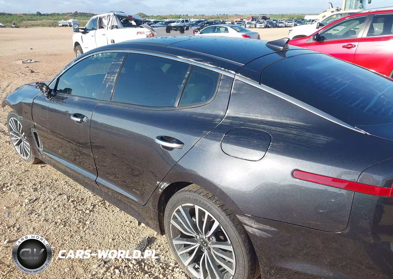 2019 Kia Stinger Premium VIN:KNAE25LA9K6046036 - 19