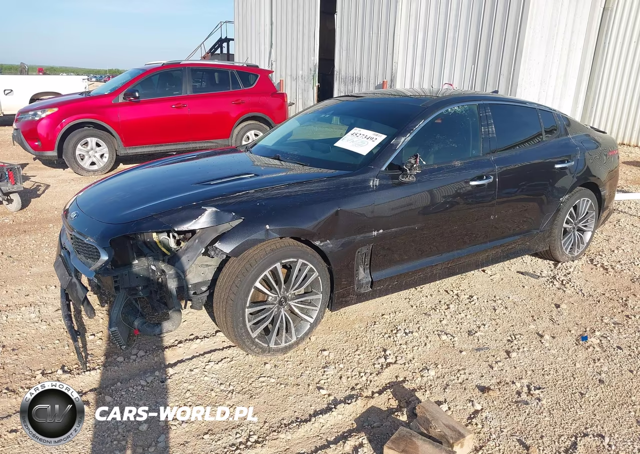 2019 Kia Stinger Premium VIN:KNAE25LA9K6046036 - 2