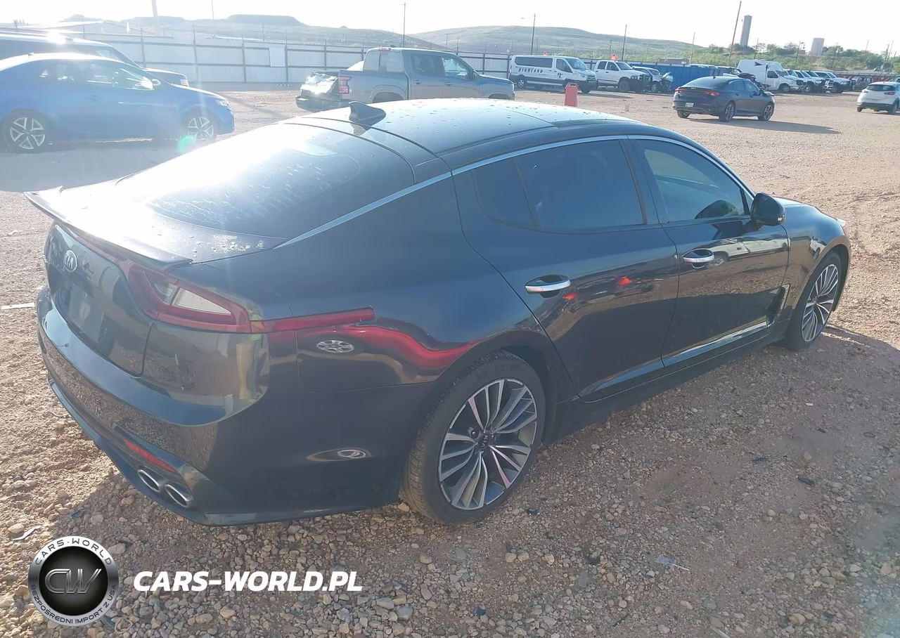 2019 Kia Stinger Premium VIN:KNAE25LA9K6046036 - 4