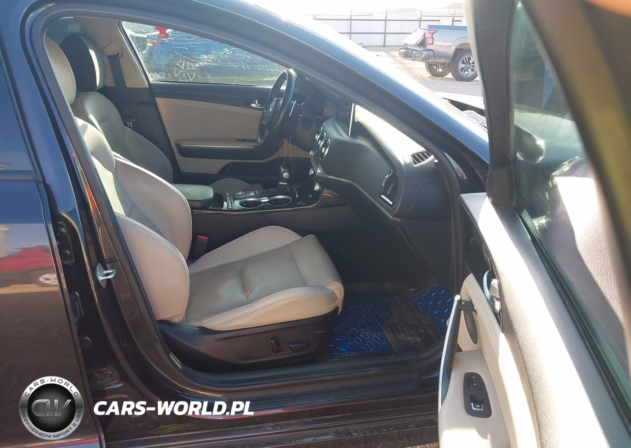 2019 Kia Stinger Premium VIN:KNAE25LA9K6046036 - 5