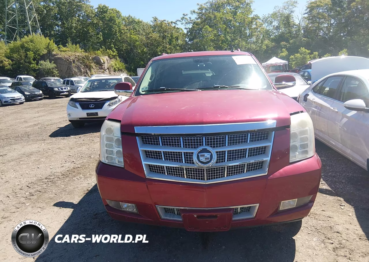 2009 Cadillac Escalade Esv Platinum Edition VIN:1GYFK36289R148804 - 12