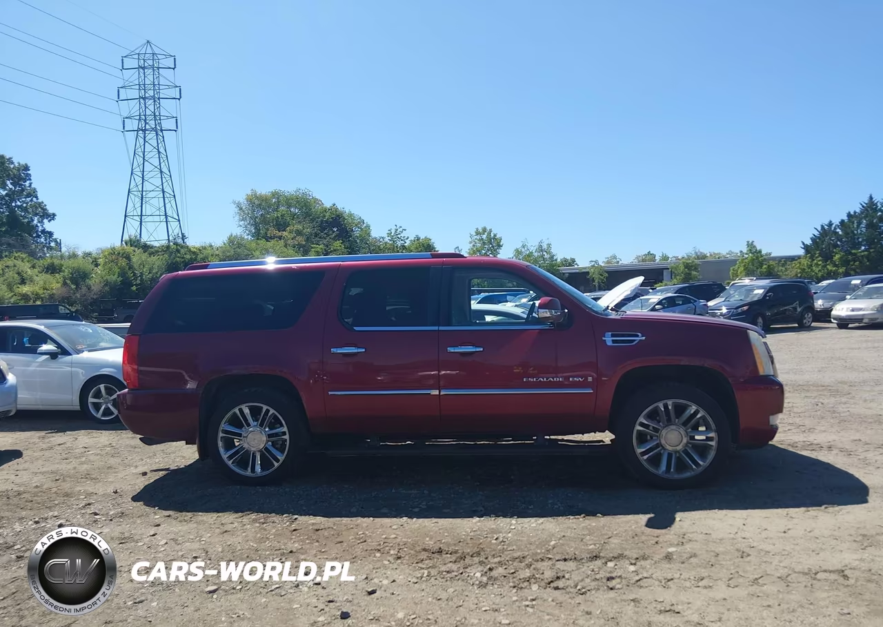 2009 Cadillac Escalade Esv Platinum Edition VIN:1GYFK36289R148804 - 13