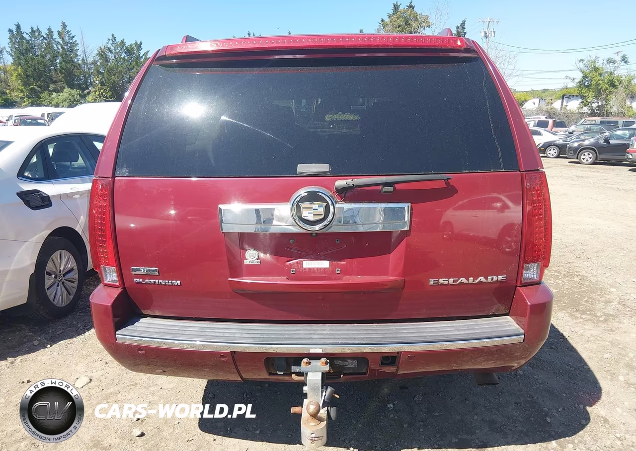 2009 Cadillac Escalade Esv Platinum Edition VIN:1GYFK36289R148804 - 16