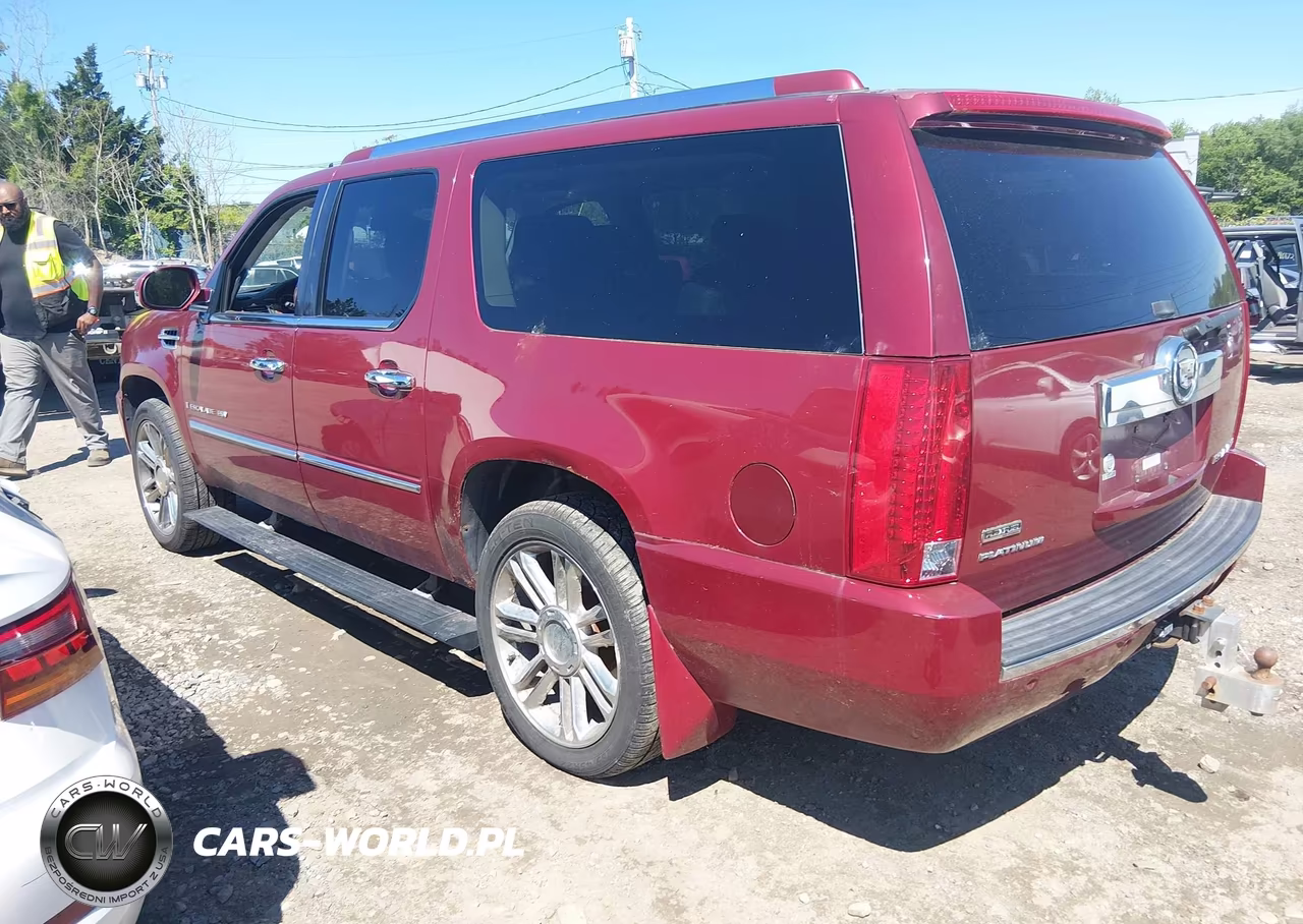 2009 Cadillac Escalade Esv Platinum Edition VIN:1GYFK36289R148804 - 3