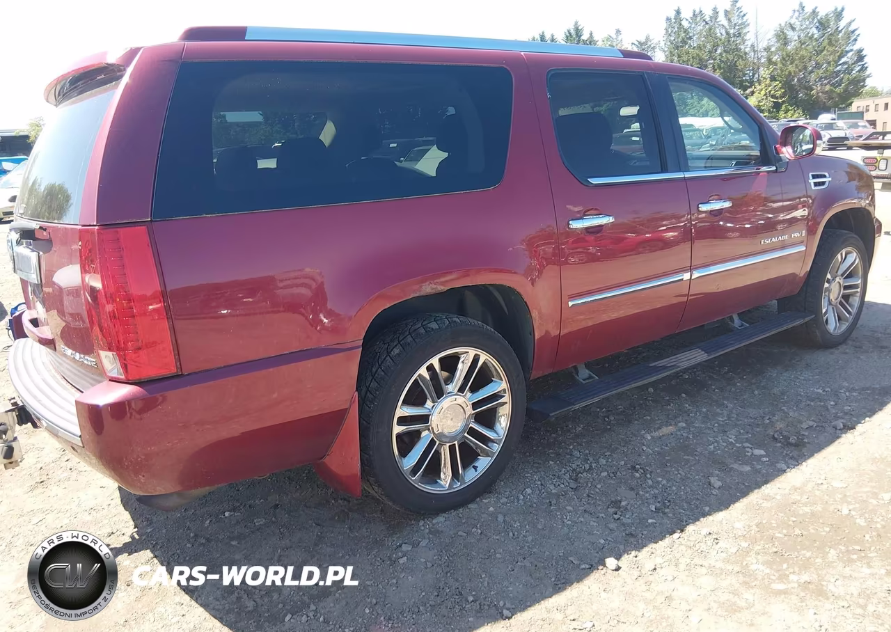 2009 Cadillac Escalade Esv Platinum Edition VIN:1GYFK36289R148804 - 4