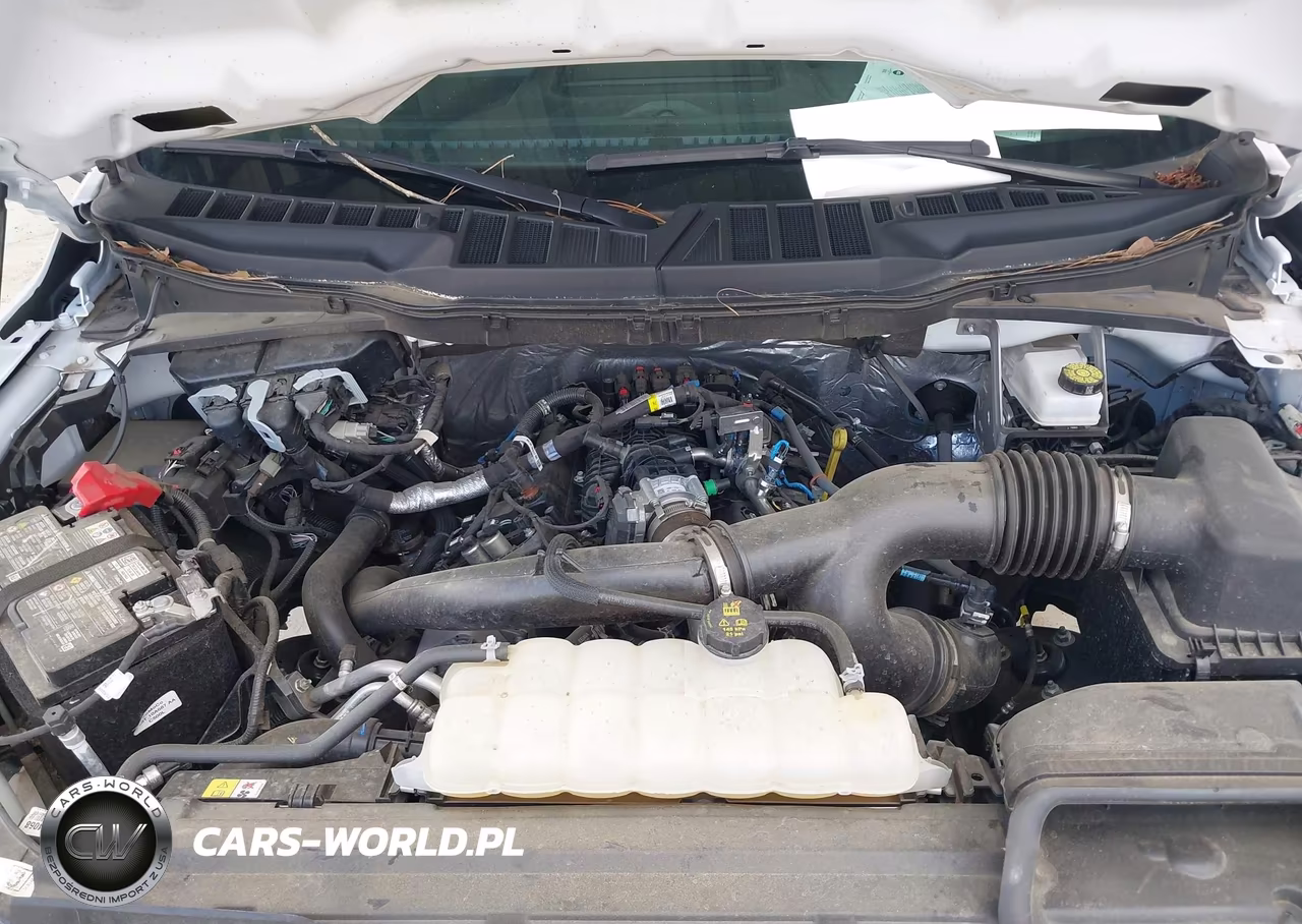 2025 Ford F-150 Xl VIN:1FTEX1KP2SKD05721 - 10