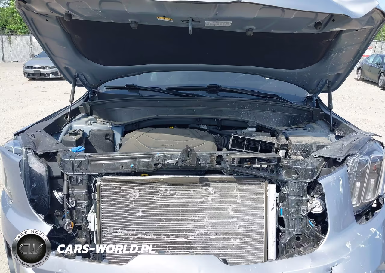 2023 Kia Telluride S VIN:5XYP6DGC0PG407776 - 10