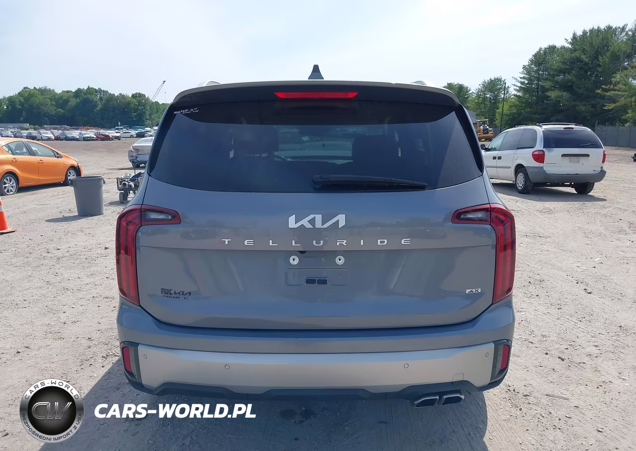 2023 Kia Telluride S VIN:5XYP6DGC0PG407776 - 17