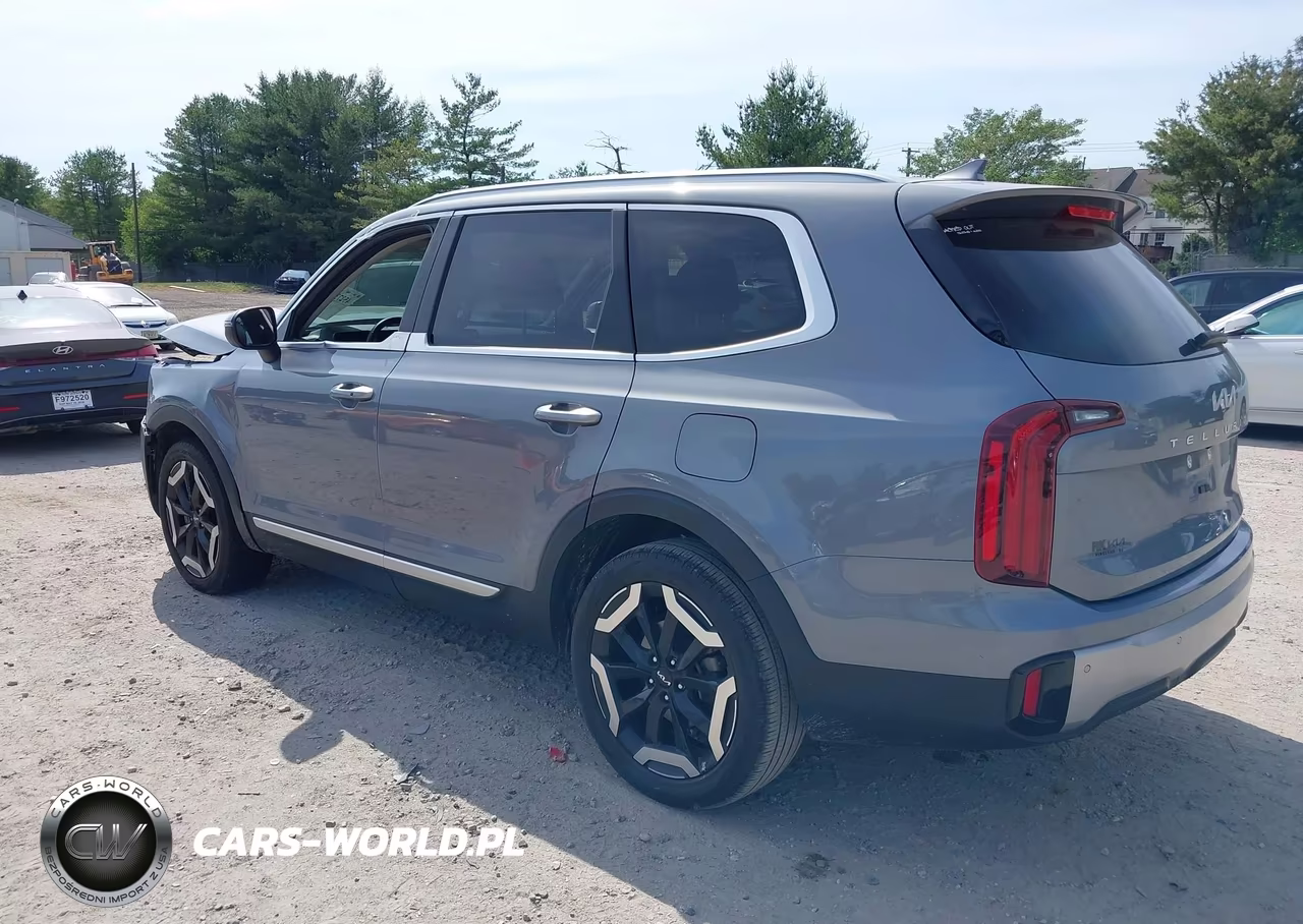 2023 Kia Telluride S VIN:5XYP6DGC0PG407776 - 3