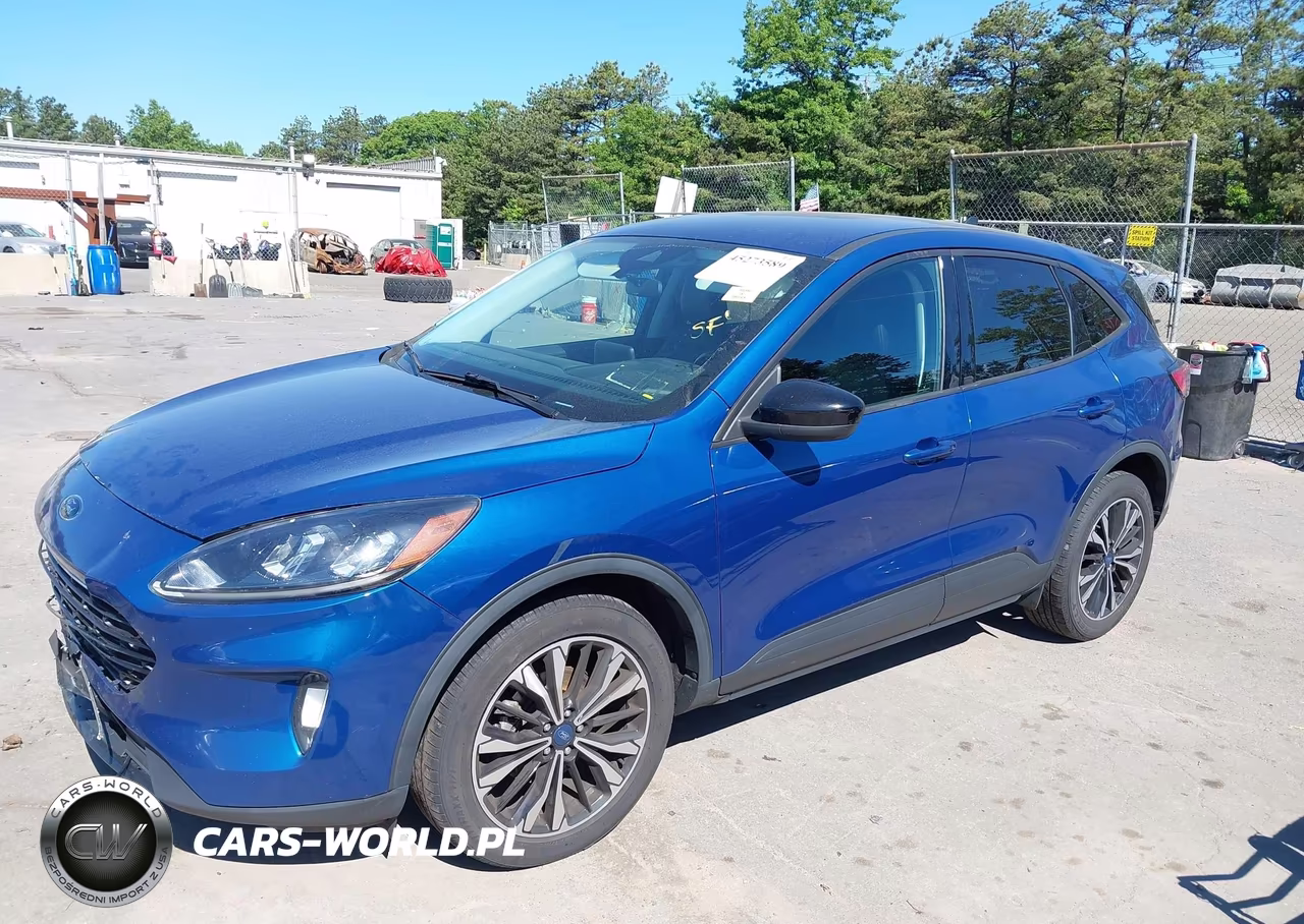 2022 Ford Escape Sel VIN:1FMCU9H99NUA89801 - 2