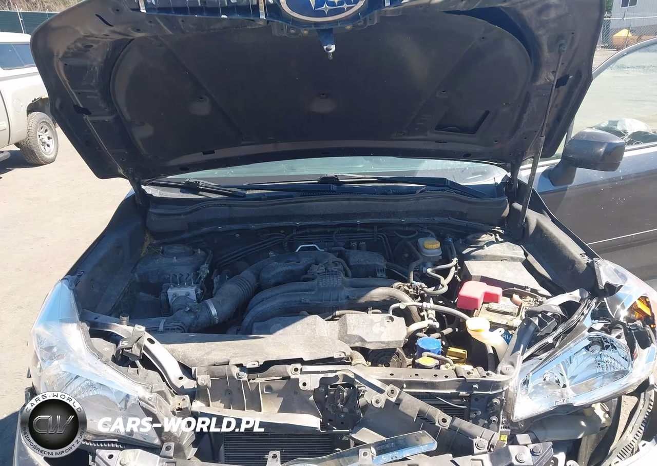 2015 Subaru Forester 2.5I Premium VIN:JF2SJADC0FH803774 - 10