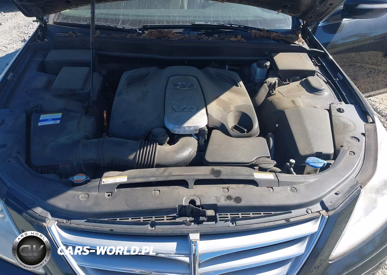 2011 Hyundai Genesis 4.6 VIN:KMHGC4DF4BU125814 - 10