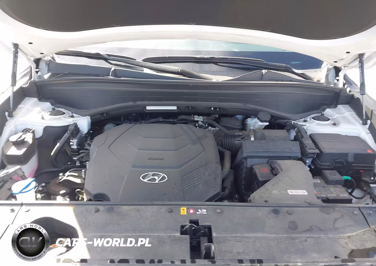 2025 Hyundai Palisade Sel Premium VIN:KM8R44GE9SU823330 - 10