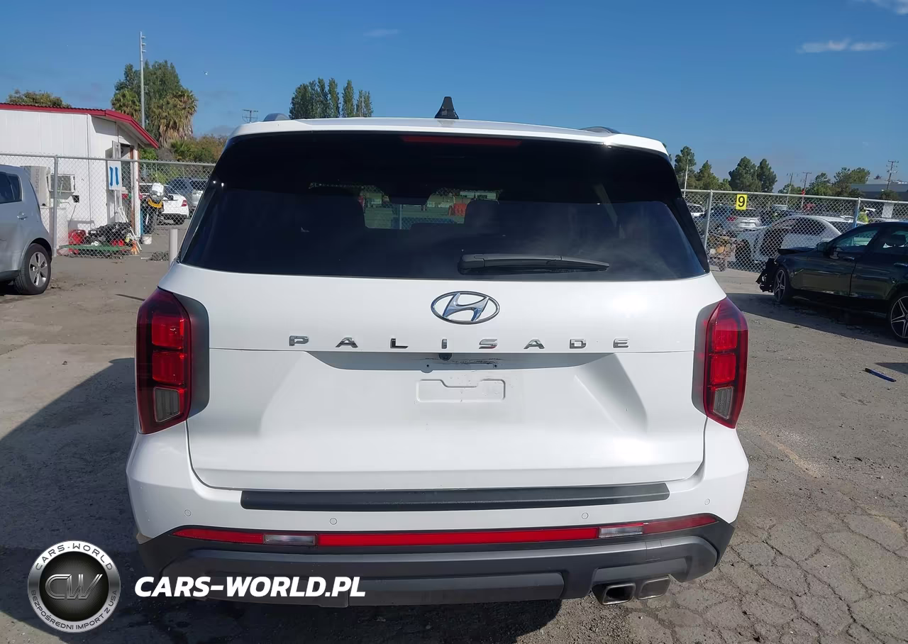 2025 Hyundai Palisade Sel Premium VIN:KM8R44GE9SU823330 - 16