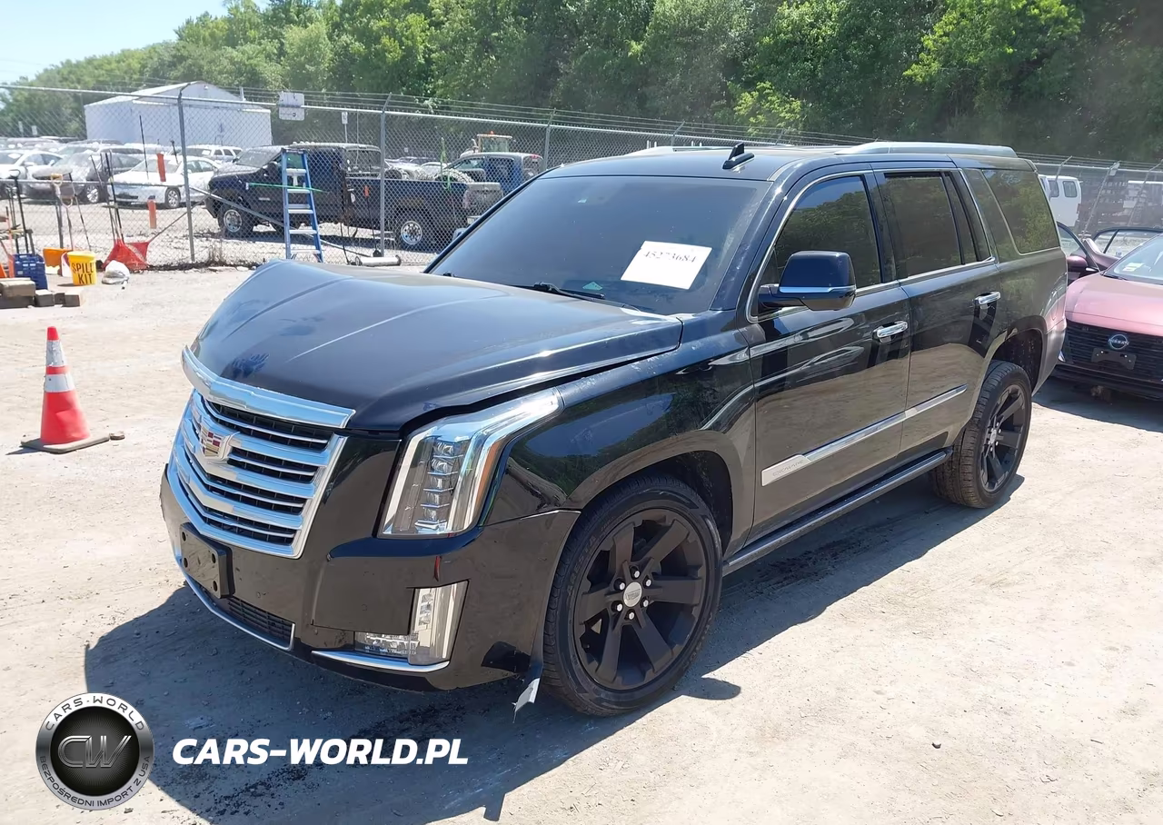 2016 Cadillac Escalade Platinum VIN:1GYS4DKJ0GR302270 - 2