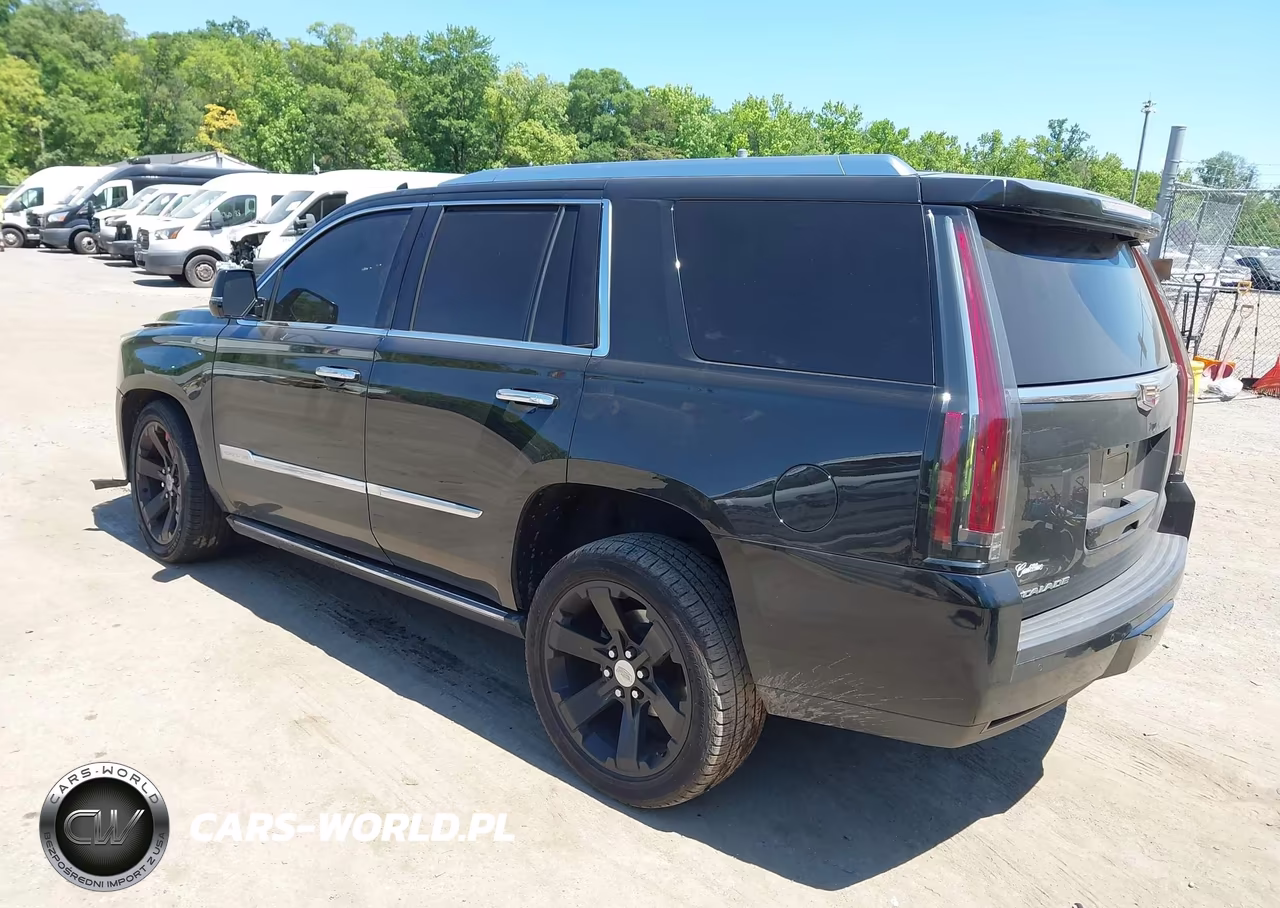 2016 Cadillac Escalade Platinum VIN:1GYS4DKJ0GR302270 - 3