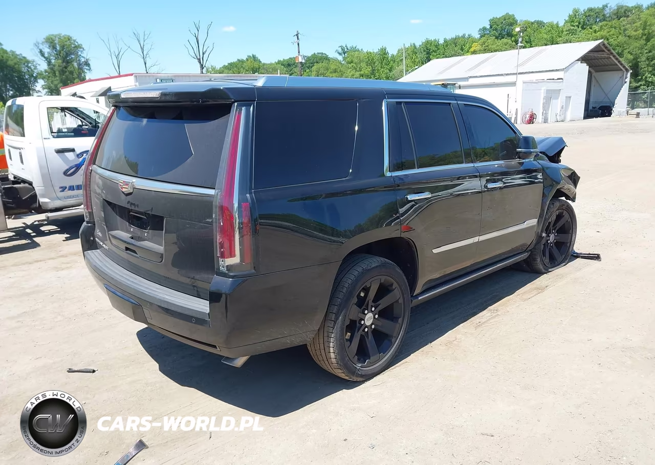 2016 Cadillac Escalade Platinum VIN:1GYS4DKJ0GR302270 - 4