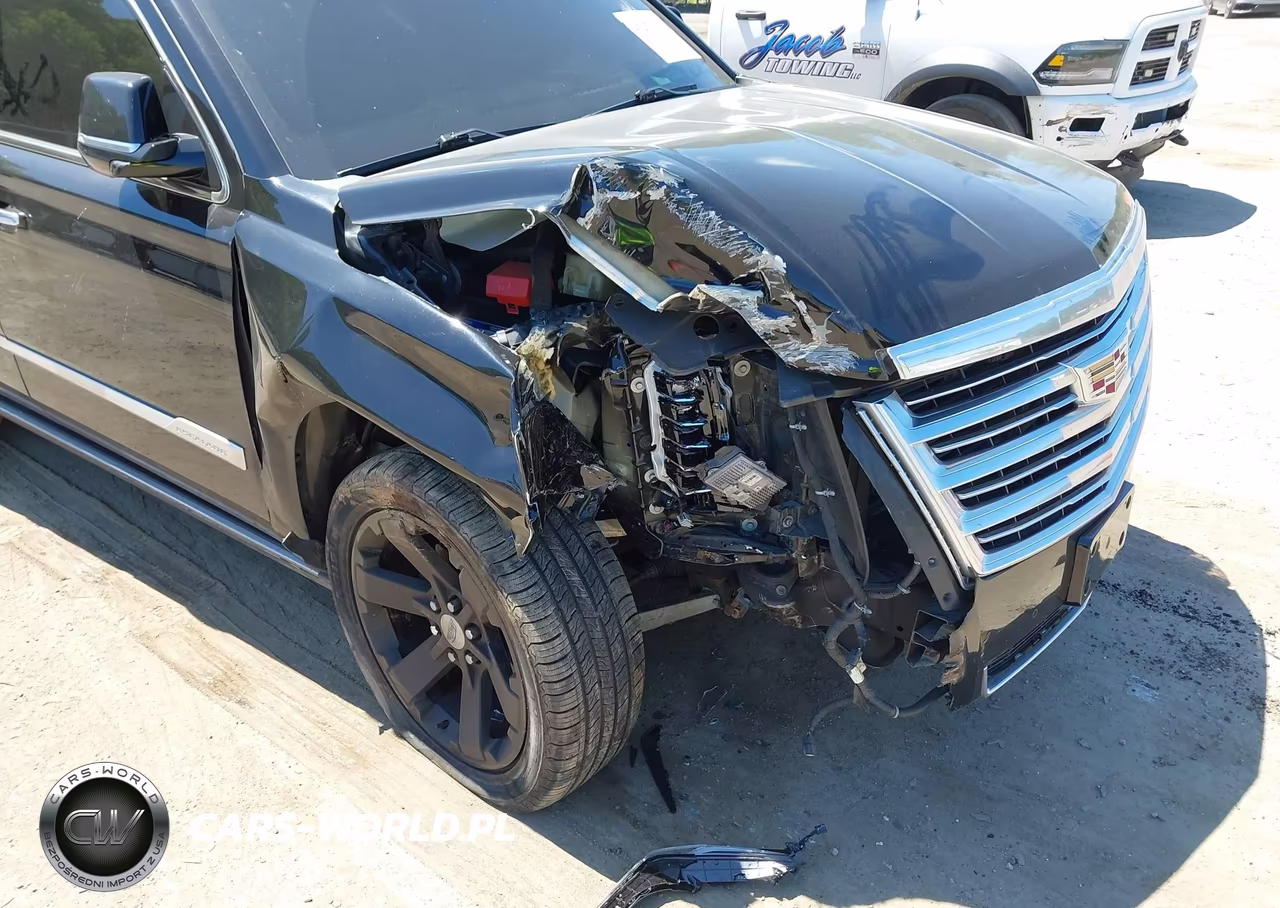 2016 Cadillac Escalade Platinum VIN:1GYS4DKJ0GR302270 - 6