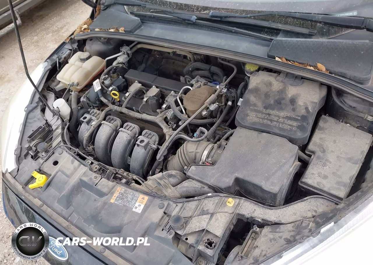 2016 Ford Focus Se VIN:1FADP3F26GL250736 - 10