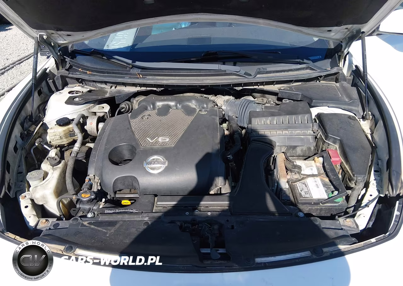 2010 Nissan Maxima 3.5 Sv VIN:1N4AA5AP4AC843487 - 10