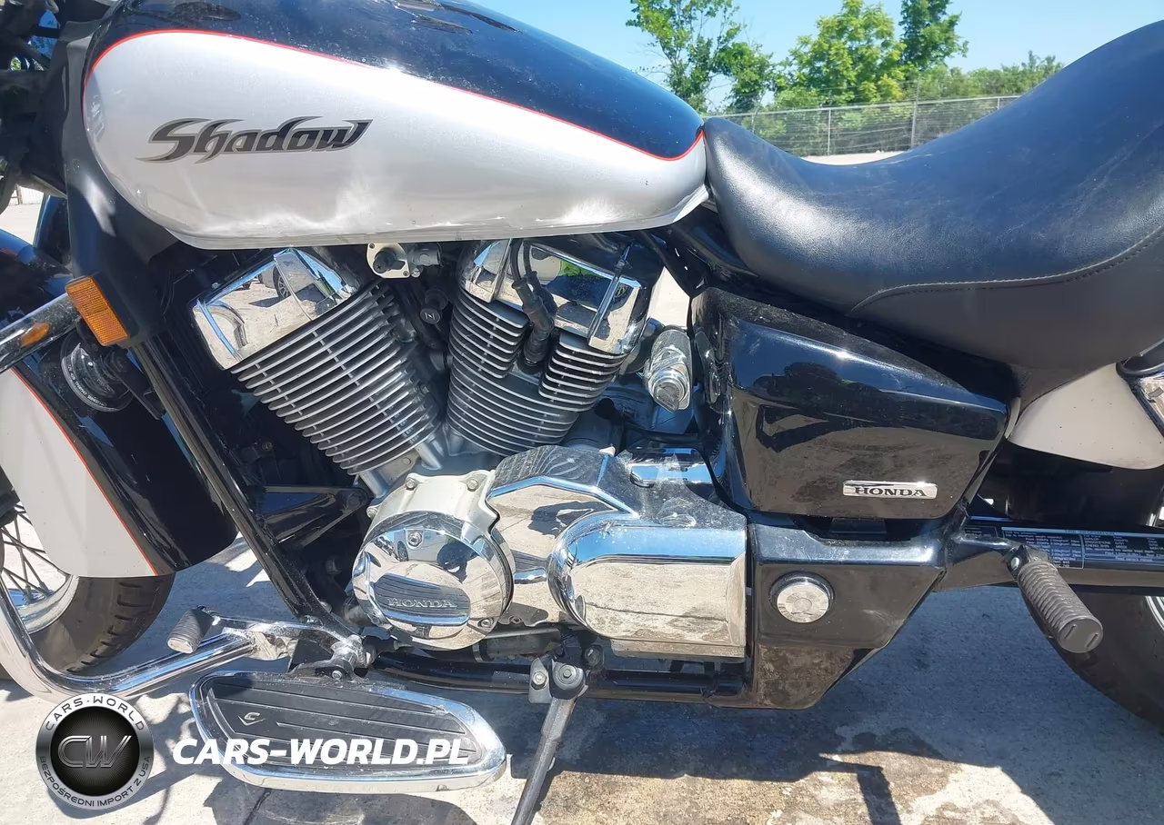 2004 Honda Vt750 Ca VIN:JH2RC50334K012876 - 9