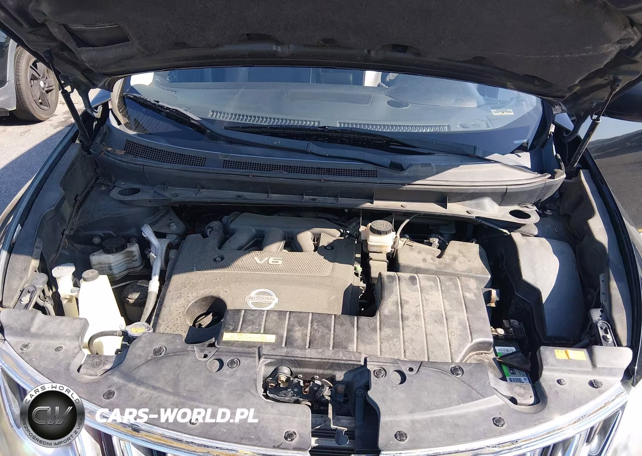 2009 Nissan Murano Le VIN:JN8AZ18W29W103024 - 10