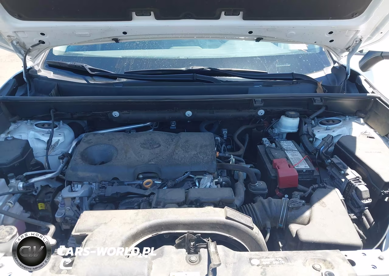 2020 Toyota Rav4 Le VIN:2T3K1RFV9LW079908 - 10