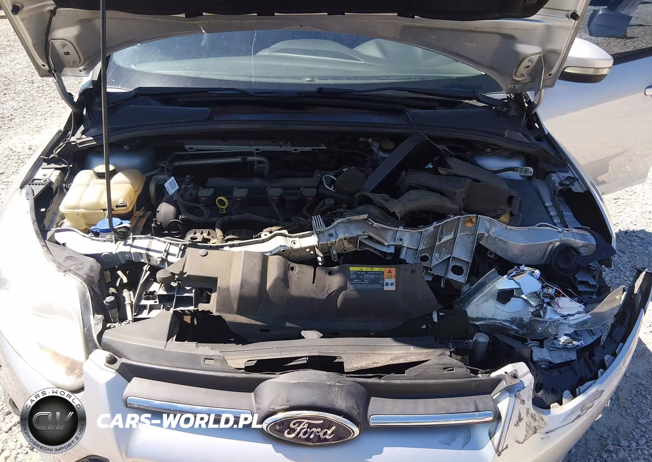 2013 Ford Focus Se VIN:1FADP3F29DL174537 - 10